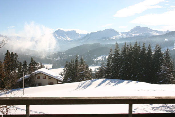 Skispuren im Neuschnee
